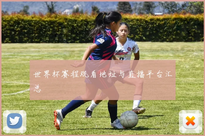 世界杯赛程观看地址与直播平台汇总