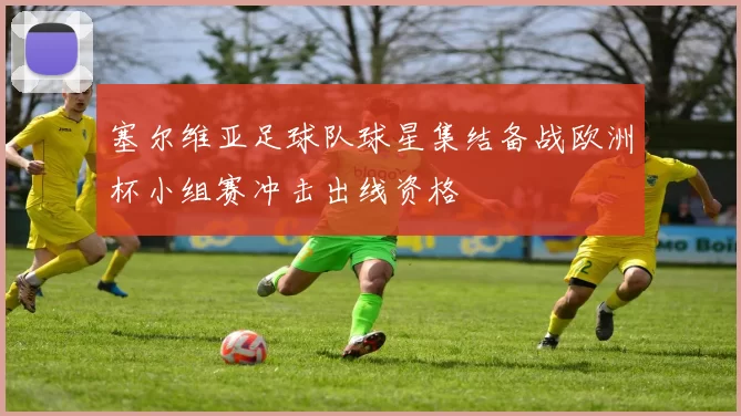 塞尔维亚足球队球星集结备战欧洲杯小组赛冲击出线资格