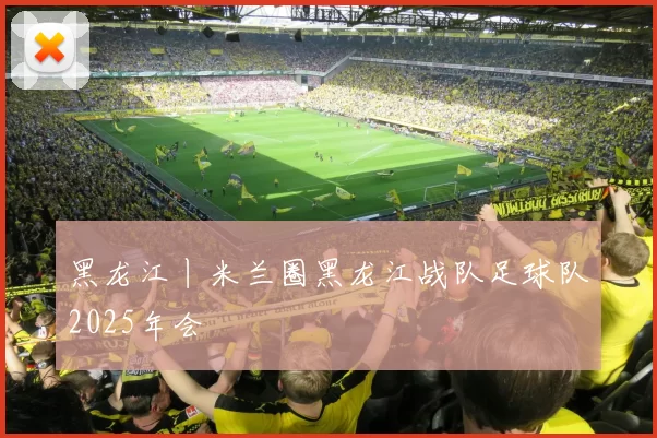 黑龙江丨米兰圈黑龙江战队足球队2025年会