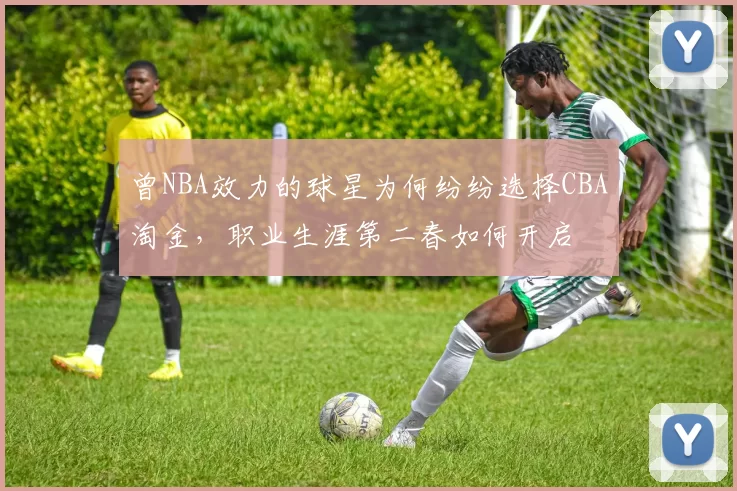 曾NBA效力的球星为何纷纷选择CBA淘金，职业生涯第二春如何开启