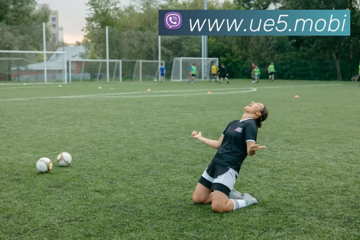 开云官方版网站登录入口 - 开云online(中国)平台生态图